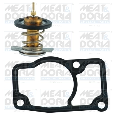 Thermostat, coolant